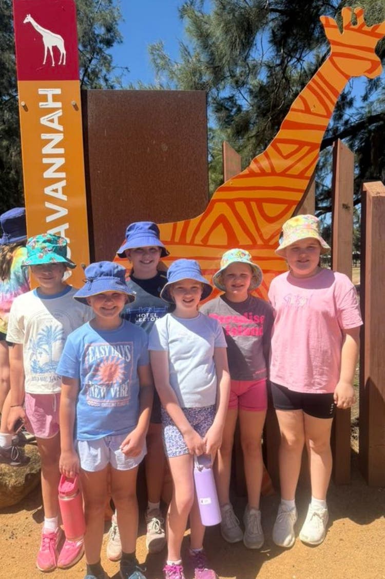 Copy of DA - Columns - 2x3 - Columns Block Template 2_3